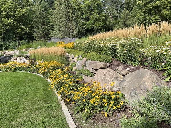 How Climate & Soil Conditions Shape Landscape Design in the Twin Cities