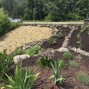 Native plants and stormwater management landscaping helping reduce erosion at an Eden Prairie property