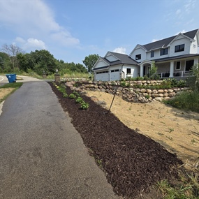 Newly planted native landscape beds designed to improve stormwater management in Eden Prairie