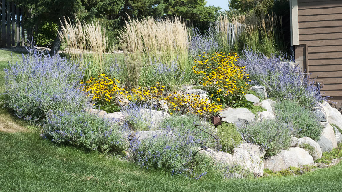 Minnesota Landscape Design – Landscaping with your Late-Summer Blooming ...