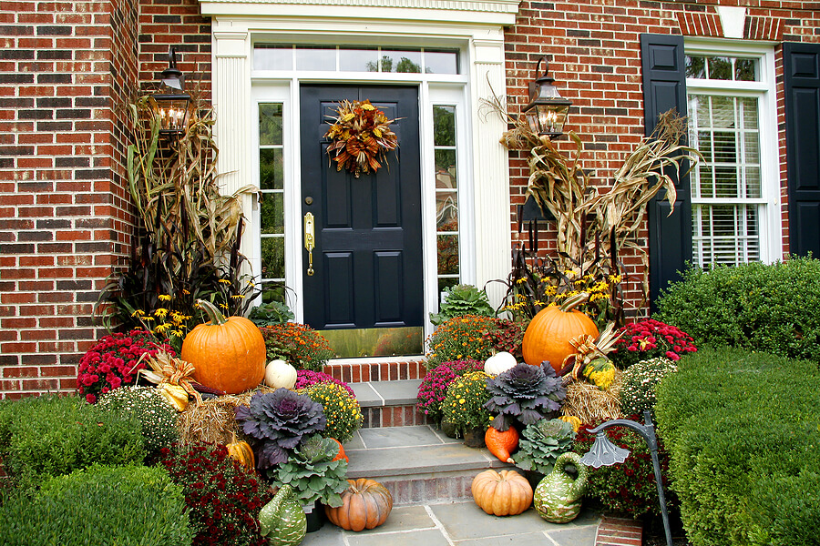 Landscaping Ideas for Minneapolis for Thanksgiving