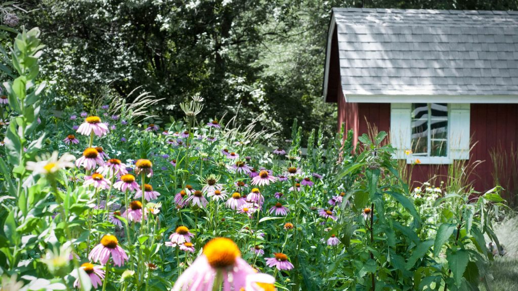 Pollinator Garden Landscape Design for Minneapolis
